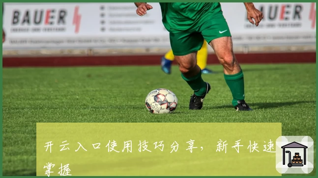 开云入口使用技巧分享，新手快速掌握