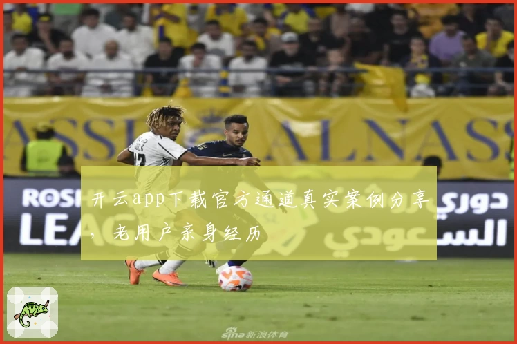 开云app下载官方通道真实案例分享，老用户亲身经历