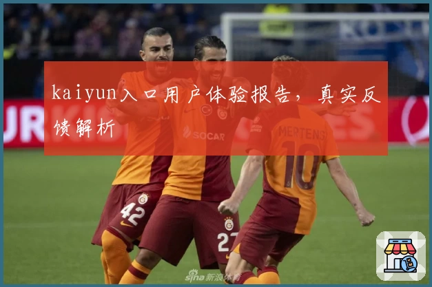kaiyun入口用户体验报告,真实反馈解析