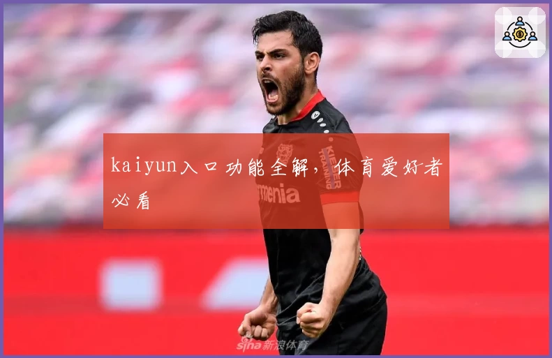 kaiyun入口功能全解，体育爱好者必看